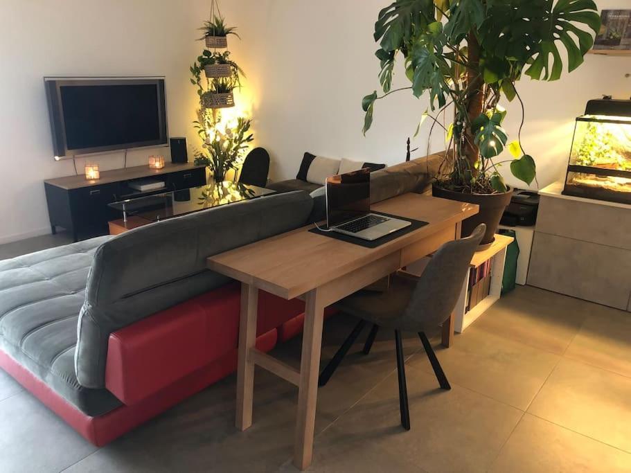 Superbe 3 Pieces Vue Mer A 2 Mn De La Plage, Terrasse, Piscine Et Parking Prive ! * Nice