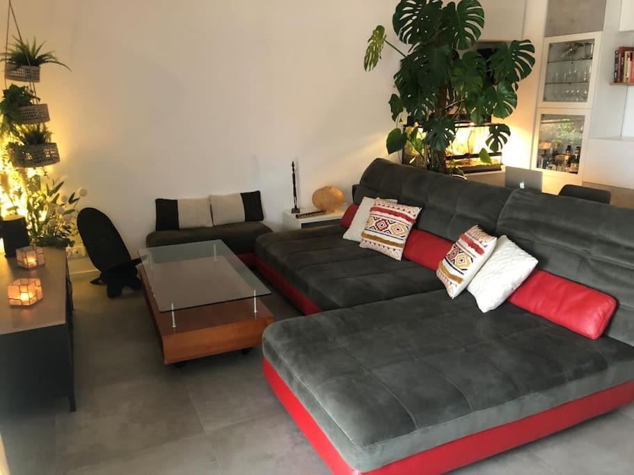 Superbe 3 Pieces Vue Mer A 2 Mn De La Plage, Terrasse, Piscine Et Parking Prive ! * Nice